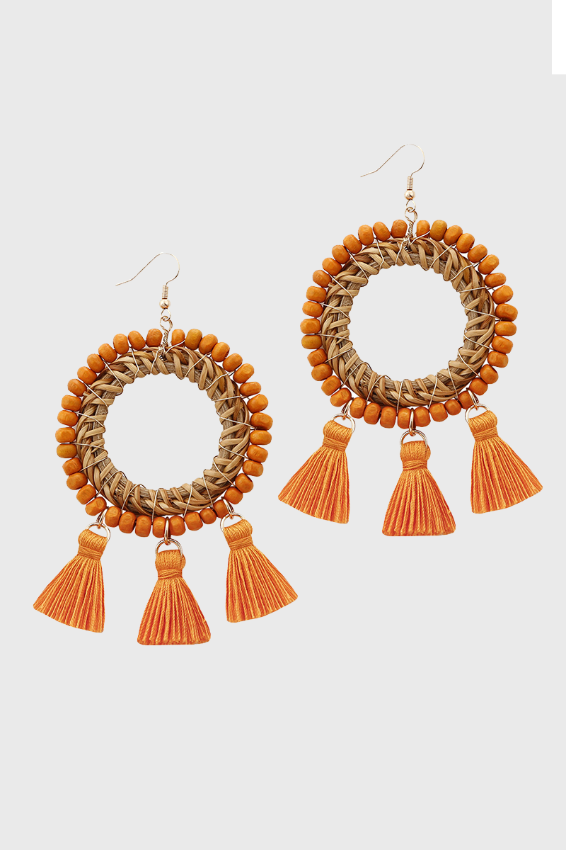 Fashion Earrings