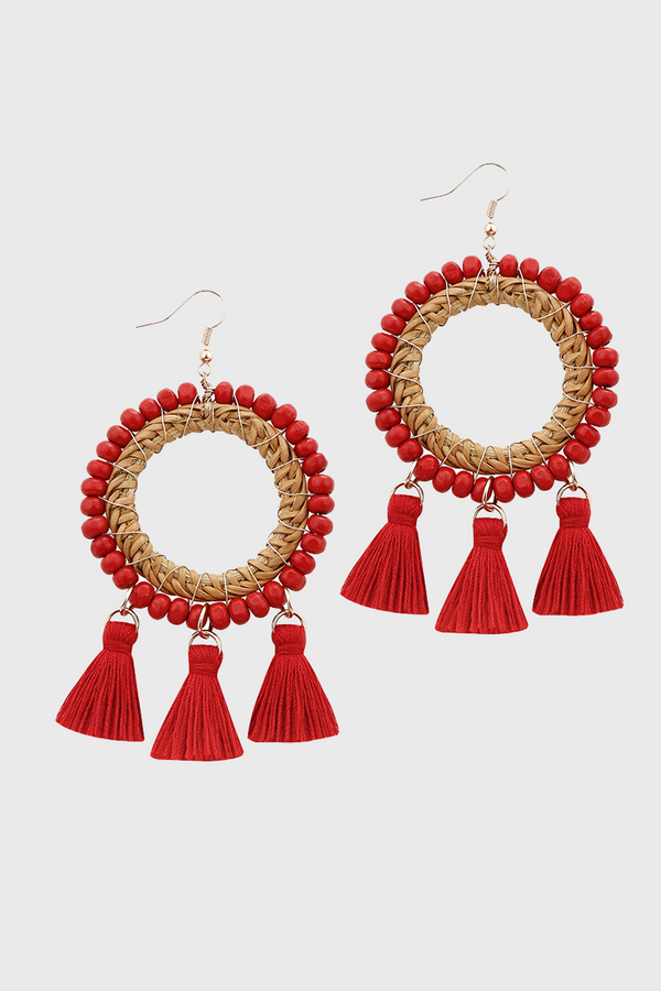 Fashion Earrings