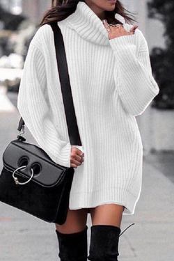 Casual Solid Split Joint Basic Turtleneck Dresses