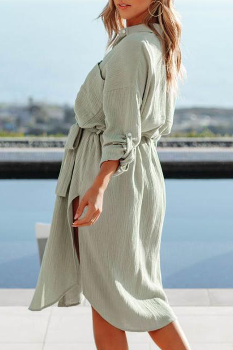 Casual Solid Split Joint Turndown Collar Shirt Dress Dresses