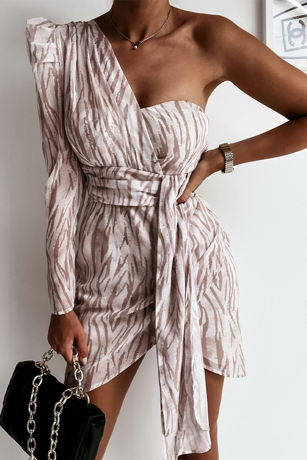 Animal Print One Shoulder Mini Dress