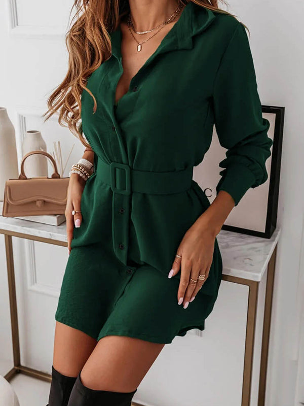 Belted V Neck Long Sleeve Mini Dress