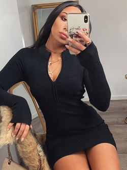 Sexy Long Sleeve Zipper Mini Dress