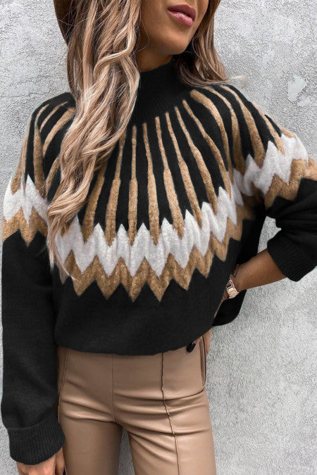 Turtle Neck Long Sleeve Knit Casual Sweater