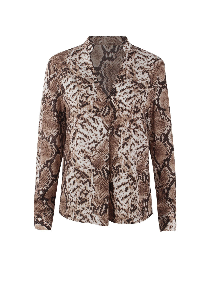 Leopard Printed Deep V-neck Long Sleeves Blouse Top