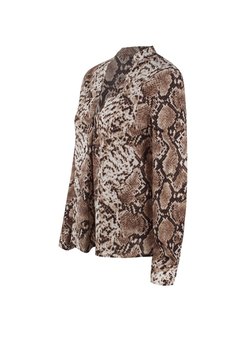 Leopard Printed Deep V-neck Long Sleeves Blouse Top