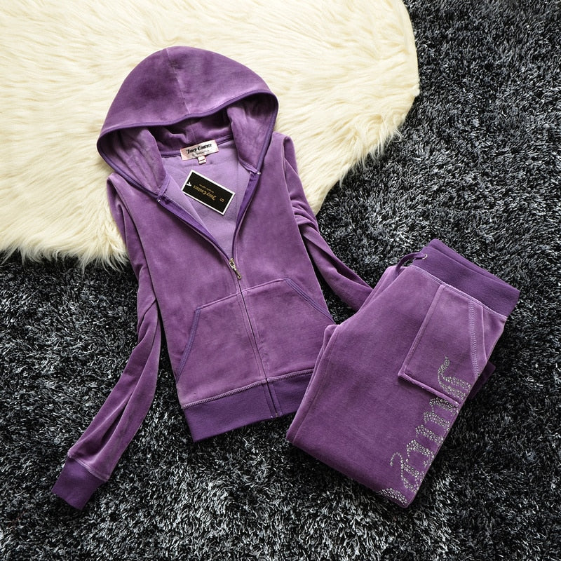 Two Piece Zipper Hoodie Sweatshirt Pant Sportwear Set