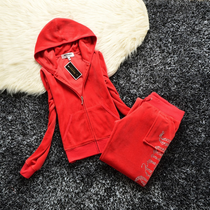 Two Piece Zipper Hoodie Sweatshirt Pant Sportwear Set