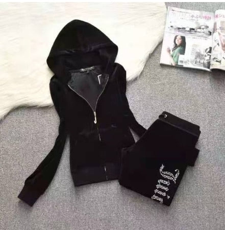 Two Piece Zipper Hoodie Sweatshirt Pant Sportwear Set