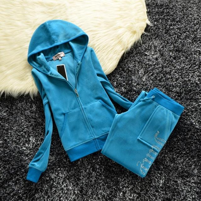 Two Piece Zipper Hoodie Sweatshirt Pant Sportwear Set