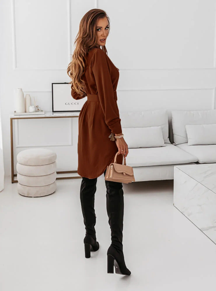 Belted V Neck Long Sleeve Mini Dress