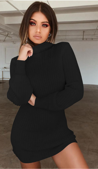 Turtle Neck Bodycon Mini Sweater