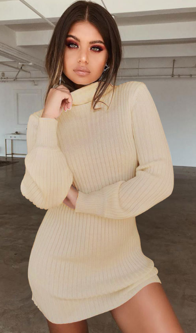 Turtle Neck Bodycon Mini Sweater