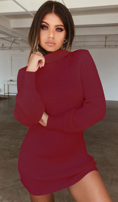 Turtle Neck Bodycon Mini Sweater