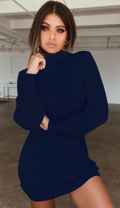 Turtle Neck Bodycon Mini Sweater