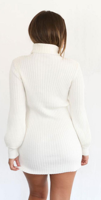 Turtle Neck Bodycon Mini Sweater