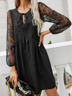 Women's Dresses Hollow Lace Long Sleeve Mini Dress