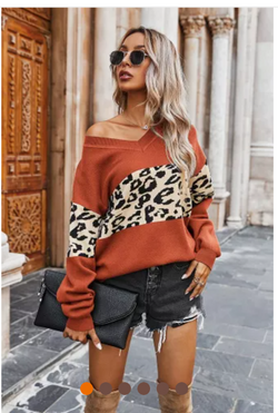 Leopard V Neck Sweaters