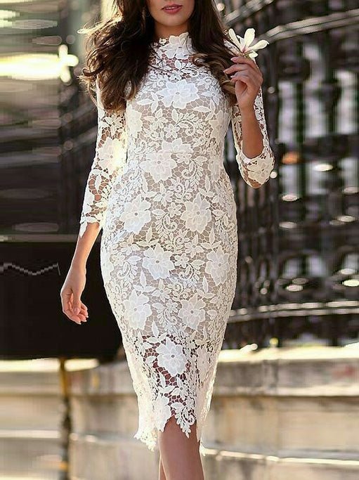 Women's Dresses Lace Long Sleeve Slim Fit Dress