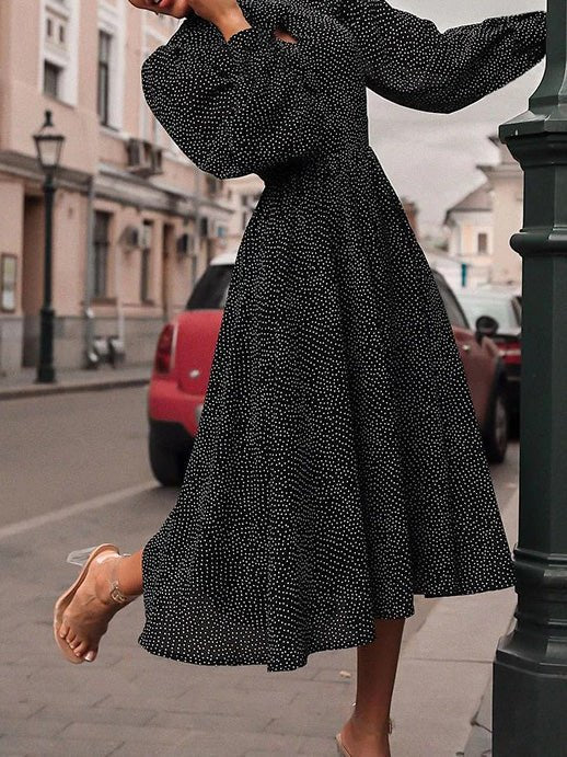 Women's Dresses Polka Dot Print Long Sleeve Dress