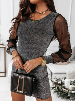 Women's Dresses Shiny Slim Mesh Long Sleeve Dress