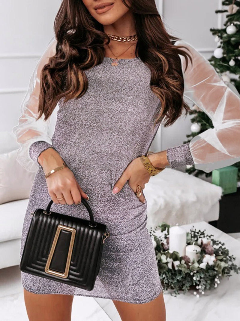 Women's Dresses Shiny Slim Mesh Long Sleeve Dress